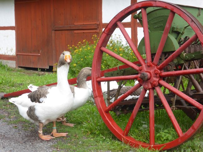 5歳娘を連れて夏休みスウェーデン・ノルウェー11日間の旅5-見所いっぱい！ユールゴーデン島後編