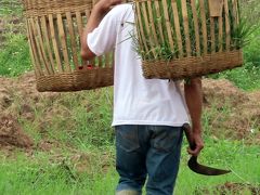 Indonesia　ワヤン（影絵芝居）を求めて中部ジャワの旅(4)　バンドン散歩