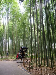 初秋の近畿三県、二泊三日のドライブ旅行2019 part③「六甲山～京都嵐山へ」