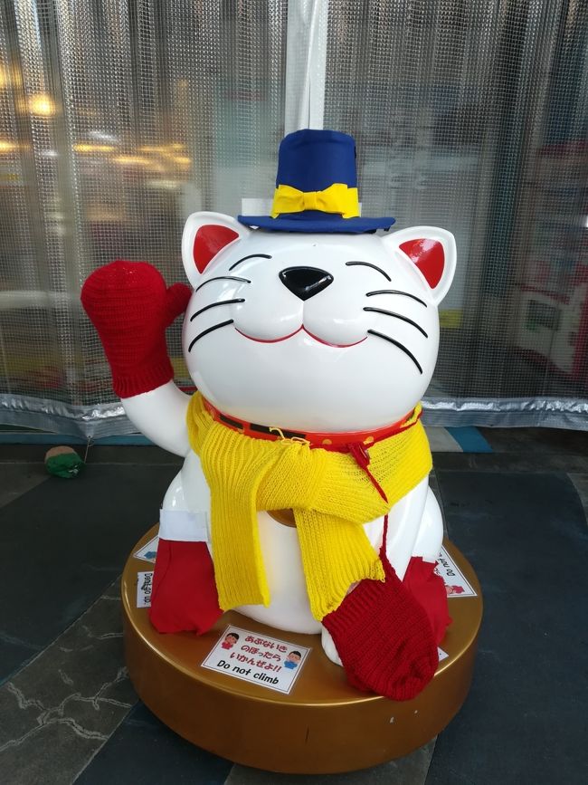 1、2週目札幌 3週目バンコクと連続してLCC に搭乗しています。<br />今回はジェットスターセールで片道421円タピオカ価格セールのチケットを往復購入出来たので1泊2日で高知に来てみました。<br />LCCは本当安く色々なところに連れていってくれます(^^)