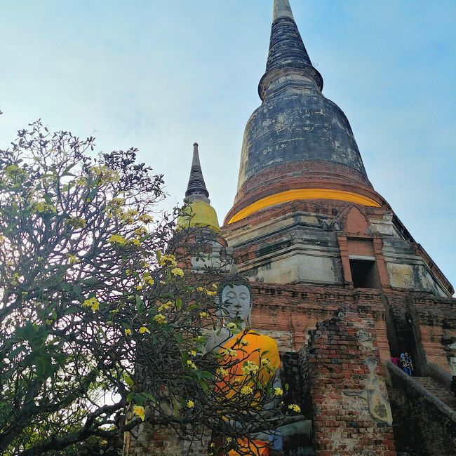 春節の連休を利用して、タイひとり旅に行ってきました。初めてのタイ訪問です。<br /><br />3泊5日で主にバンコク(少しアユタヤ)を観光。遠い場所は半日•一日ツアーを利用し、自分で行けそうな所は自力でまわることにして、短い日程でも効率良くタイを満喫することを目指しました!<br /><br />旅行記は全部で6つの予定です^^<br />Part1: 出発~ホテル、ナイトマーケット<br />Part2: ピンクのガネーシャ、ワットパクナム<br />Part3: 三大寺院<br />Part4: メークローン市場、水上マーケット<br />Part5: アユタヤ<br />Part6: エラワン美術館、帰国