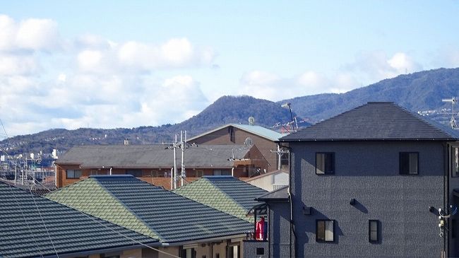 市の税務署から確定申告の案内が来た。<br />2月7日の午後1時30分に市の施設への呼び出し状。<br /><br />本来は、2月17日から3月16日の間が提出日。<br />案内状は、昨年度申告した中で、年寄りには事前に案内するって。<br /><br />そこで、今日一日パソコン片手に頑張ってみたが・・・<br />昨年までは、自宅で計算し、その結果を会場へ持参し、清書して提出していましたが、今年は・・・遅々として進まず、ギブアップ。<br /><br />税務署は、何故ワシが一人で出来ないと判断し、案内状を出したのか。<br />結果、オンブにダッコ・・・全部おまかせすることにし、明日資料を持って会場へ行くことにしました。せっかくの招待を断っては気の毒。<br />どうも、本人が自覚する以上にボケの進行が早まっているのかもしれません。でも、散歩後には誰にも聞かず、迷わず家に帰ることはできています。<br /><br />この旅行記は、途中で確定申告の計算をギブアップして、明日持参する資料を全部袋に入れ、気分晴らしに荒牧バラ公園まで散歩した時の写真集です。<br /><br />写真は、天神川に架かる北辰橋の上から、眺めた甲山のある風景。<br />この写真の撮影直後、橋の上にノリ貼りされ内容が判らないハガキが落ちているのを見つけました。<br />あて先は、伊丹市荒牧の住所だったので、届けに行ったら留守で、ポストが見当たらなく、お隣のお宅の呼鈴で奥様に事情を説明し、ハガキを預けました。<br />犬も歩けば・・・以前にも、複数枚の配達物が道路に落ちていて、集合住宅のポストに部屋ごとに分けて投函したことがありました。散歩していると・・・年寄りも歩けば配達物に当たる。