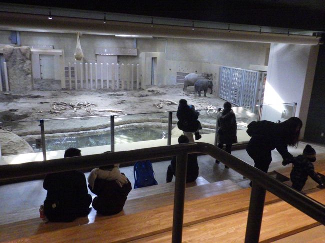 雪まつりに訪れた札幌、二日目は北海道神宮と円山動物園に行きました。円山動物園は動物をよく観察できるように工夫された、最新の動物園でした。