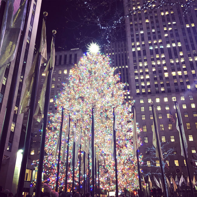 ずーっとずーっと行きたかったNY!遂に行くことができました!!しかもイルミネーション煌くクリスマスシーズン★<br />長いフライトは好きですがヨーロッパよりも長く、恐らく日本からの一番長いフライトということで、JALパックのお得なツアーでプレミアムエコノミーを利用。とても快適に過ごすことができました。<br /><br />行程は3泊5日で、着いた日の夜とまる2日間しかないという弾丸スケジュールでしたが、歩きと地下鉄、Uberを駆使して行きたいところは制覇したという感じです(*^^)v<br /><br />前編は、自由の女神・セントラルパーク・SATCのキャリーの家・Babby's(ランチ)・ロックフェラーセンターのクリスマスツリーなど(^^)
