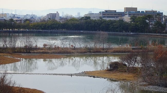 その2からの続きです。<br /><br />2階の展示室と4階からの展望後、10時になったので蝶の館に入るところまでです。<br /><br />写真は、4階からの眺めで、手前が昆陽池で、向こう側の池は公園内の貯水池です。