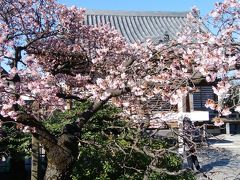 節分直前、西新井大師と小網神社に初詣