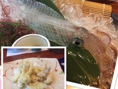 いかの活きづくりを食べたくて唐津へゴルフ旅行