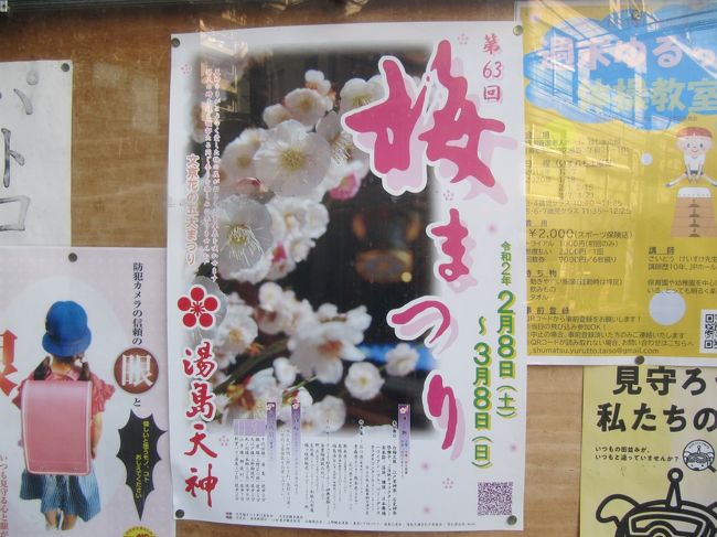 2020年2月8日(土)、湯島天神の桜まつりが今日から始まりました。湯島天神の祭神は学問の神様「菅原道真」。受験シーズンの今、二拝二拍手一拝のしきたりの最中、心を込めて固まりず～と動かない受験生の親御さんがいました。人生を左右する勝負ですから致し方ありません。湯島天神の梅の現在の開花状況は、まだ二～三部咲き？といったところでした。<br />