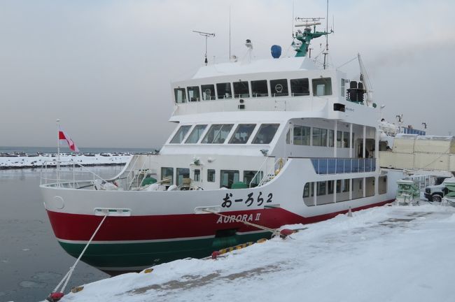 旅行社のツアーで、オホーツク海の流氷と雪まつりを見に、２泊３日で北海道へ出かけてきました。<br />初日は、羽田から釧路空港に飛び、そこから鶴居村の鶴見台、美幌峠、メルヘンの丘と進み、最後に網走港から流氷を見にオーロラ号に乗船しましたが、・・・・・・<br />流氷は来ていませんでした。(´;ω;｀)<br />