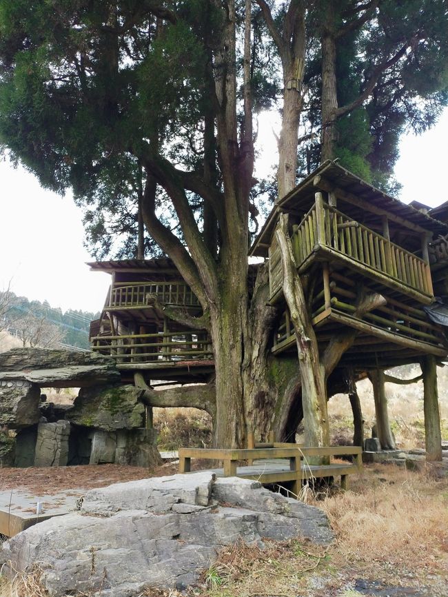 JALのどこかにマイル　10回目は宮古島狙いが熊本に　1日目　阿蘇神社参拝と世界遺産三角西港