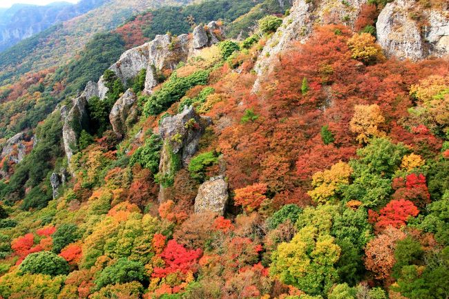 毎年「今年はどこの紅葉を見に行こうか」と数ヶ月前からそわそわ。<br />2019年は4トラでフォローさせてもらっている旅行三昧さんの旅行記を拝見して俄然行ってみたくなった小豆島の寒霞渓をメインに、2泊3日の旅を計画しました。<br /><br />小豆島へは高松か岡山からフェリーを利用するため、どうせなら近隣の絶景も見たいと思い、1日目は徳島・香川(祖谷と父母ヶ浜)、2日目に小豆島に渡って島内めぐり、最終日は岡山(倉敷)を観光するルートに。<br /><br />2日目に訪れた今回の旅のメイン「寒霞渓」<br />紅葉のピークには1週間ほど早いようでしたが、それでも圧巻の風景。ロープウェイから見た緑の中に点在する赤や黄色の木々、裏参道をハイキングして出会えた絶景など期待を超えたスケールの大きな紅葉狩りを満喫しました。<br /><br /><br />【行程】<br />1日目 羽田 → 高松<br /> 奥祖谷、父母ヶ浜観光 <高松泊><br /><br />2日目 高松 → 小豆島<br /> エンジェルロード、寒霞渓、二十四の瞳映画村<br /> 小豆島オリーブ公園 <小豆島泊><br /><br />3日目 小豆島 → 岡山 <br /> 倉敷観光 → 岡山 → 羽田