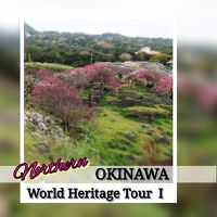 沖縄世界遺産巡り【１】北部、桜まつりの今帰仁城跡　2020年 2月