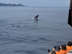 どこかにマイルで行く沖縄本島の旅③日目