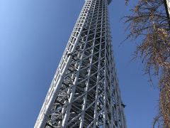 東京日帰り旅行★スカイツリー・すみだ水族館（3歳子連れ）