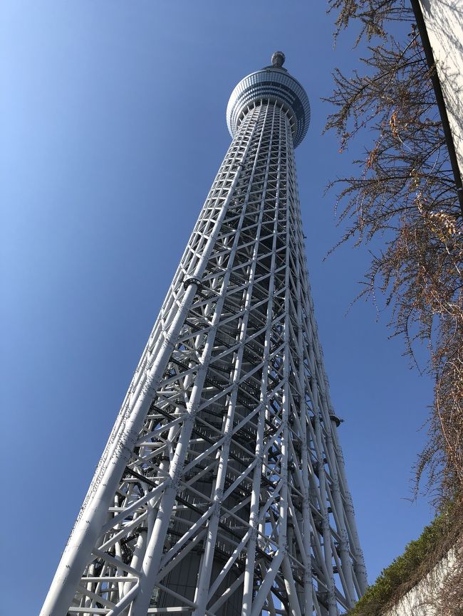 元々日帰り旅行が好きな私^^<br />電車のお得切符も手に入ったし、久しぶりに行ってみようか!と思い立ちました。<br />ディズニーに行く度に眺めていたスカイツリーへ。<br />荷物が少なく、会社に気を遣うことなく、気軽にリフレッシュできてやっぱり日帰り旅行最高ー!<br /><br />【旅費】<br />電車:約10,000円(大人2人)<br />スカイツリー:6,000円(大人2人)<br />すみだ水族館:約5,000円(大人2人、乳幼児1人)<br />奮発ランチ:9,000円<br />その他含めて…総額約40,000円の旅行になりました。