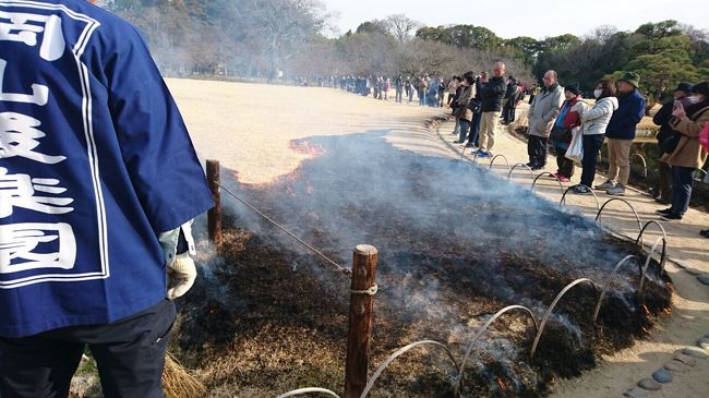 岡山後楽園では、年に一度の”芝焼き”を見ることができました!