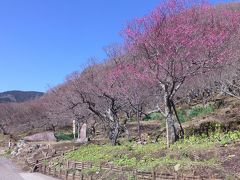 湯河原温泉『梅の宴』へ