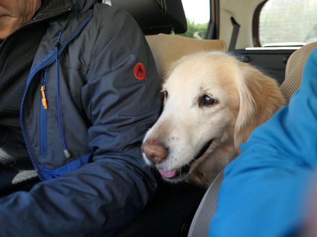 お、また犬を飼い始めたの？　って、絶対誤解される様に仕組んだ表紙写真。<br />真相は以下・・・