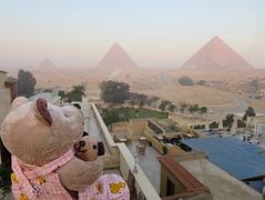 8年ぶり8度目のエジプト8日間（7）ピラミッドを見ながら朝食を ＆ クマクマウー危機一髪