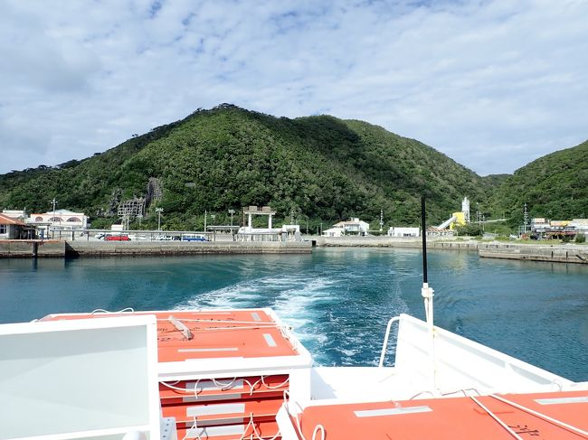 大好きな沖縄、特に離島が好きで慶良間諸島に行く事が多いです。<br />その中でも渡嘉敷島は沖縄本島からも行き易く、海が綺麗で自然に<br />ウミガメが泳ぐビーチもあるお気に入りの島です。<br /><br />いよいよ帰る日、那覇の街を少し歩いてから帰宅します。