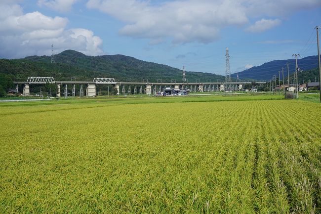 関西旅行記～2019 滋賀・長浜市編～その1