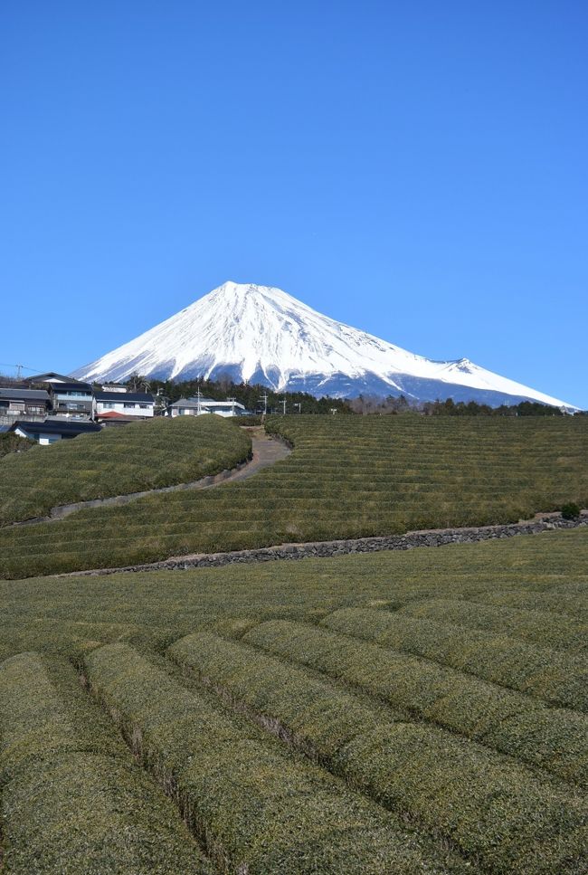 月に1度の富士滞在。