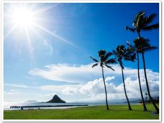 飲むままに呑むままにハワイは私を傷つけない♪　な2日目