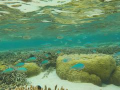 天気はいまいちでしたが、海はきれいなグアムでした（後編）