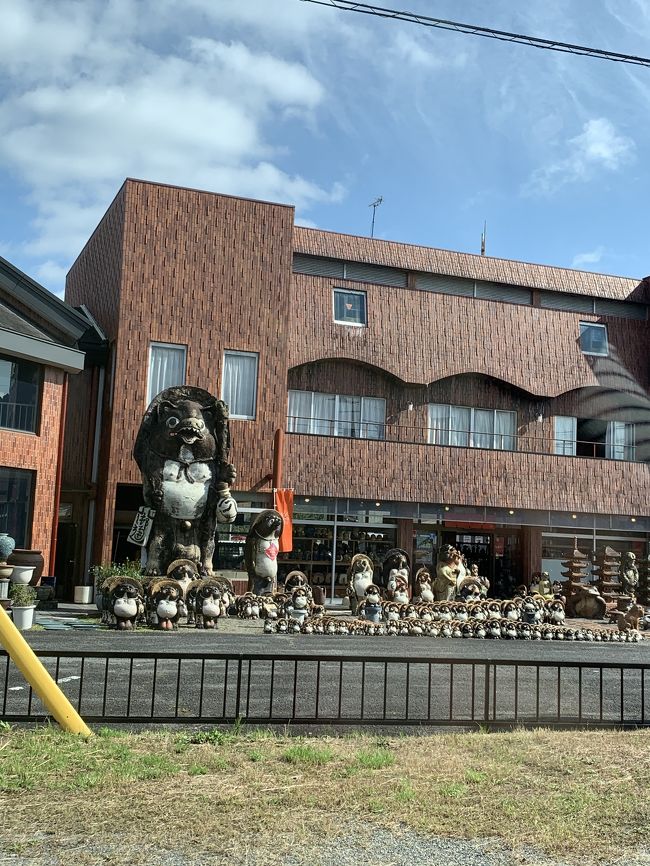スープカップを探しに行ってきました。<br />やっぱりいつ行ってもたぬきが多いです!(笑)