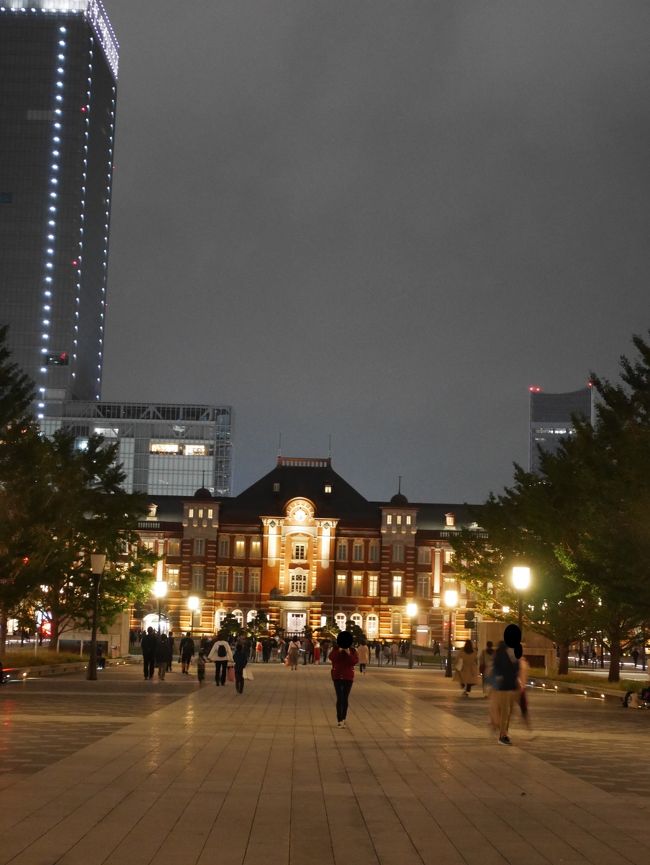 静岡へ日帰りで旅をした後、東京駅と周辺の夜景に出会った。<br /><br /><br />【時期】2019年11月3日（日）<br /><br />【方面】東京都（東京駅周辺）<br /><br /><br /><br /><br /><br /><br />