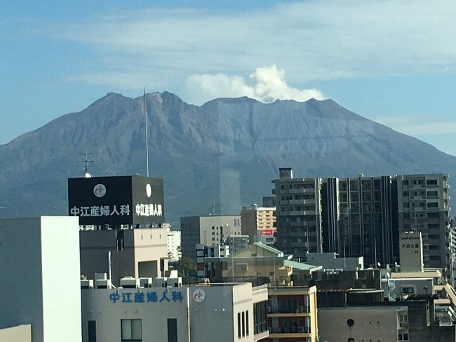 毎年恒例の墓参に鹿児島に来ました<br /><br />今回は、マイルの特典旅行で、飛行機は無料です<br /><br />雨の予報からずれた様で良い天気で<br />暑いくらいの日和です<br /><br />日差しの中で草むしりが出来てお参りできて<br />良かったです<br /><br />今回は、温泉は、夜にして、照国神社さんに<br />お参りする事にしました<br /><br />一番大きい神社の様なのですが初めてお参り<br />しました、島津斉彬が祀られて居ました<br /><br />その後、博物館を見学して、鹿児島の動植物と<br />地層、知らないことが学べて楽しかったです<br />無料というのは凄いと思いました<br /><br />宿は、常宿のソラリアです<br /><br />チェックイン後に、西田温泉に行っって<br />温泉堪能しました<br /><br />その帰りに、梅吉改め桔梗で<br />美味しいお料理を頂きました