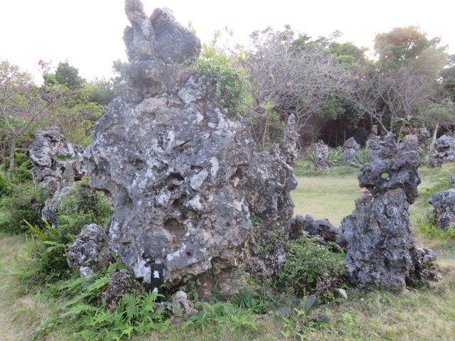 大神島から船で宮古島へ戻って、隠れたパワースポットである新城さんの石庭（いしにわ）に立ち寄ります。<br />新城定吉さんという方が一人でせっせと石を集めて作った庭だそうで、神秘のパワーを感じます。<br /><br />宮古島東急リゾートに戻って２日目の夕食はレストラン・シャングリラでのバイキング。<br />定番のブッフェ料理の他に、ちゃんぷるーやおでんや宮古そばもあって宮古島のお料理も楽しむことができました。