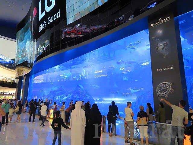 2日めのスケジュールはお隣、シャルジャ首長国から。<br />目的はもちろん水族館!!<br />シャルジャ水族館とドバイ水族館(ドバイモール)をハシゴするプラン。<br /><br />シャルジャは水族館以外行かなかったし、街中の景色もタクシーの車窓から眺めただけだけど、ドバイとはすぐ近くなのに、細かな部分でいろいろ違っていそうな雰囲気で、少しだけ歩いて見てみたかったなぁ、と。<br /><br />そんなシャルジャを後にして向かったのは、超メジャー観光地、ドバイモール。<br />ドバイの休日たる土曜日の午後、ドバイモールは激混み。<br />その混雑の中、うんざりしながらも頑張って? 色々見てきた。<br /><br />ところで、シャルジャは、シャルジャ? シャールジャ? シャルージャ?<br />どれが正解なんだろう?<br />現地の人は“シャージャ”みたいな感じで発音していたけれど……