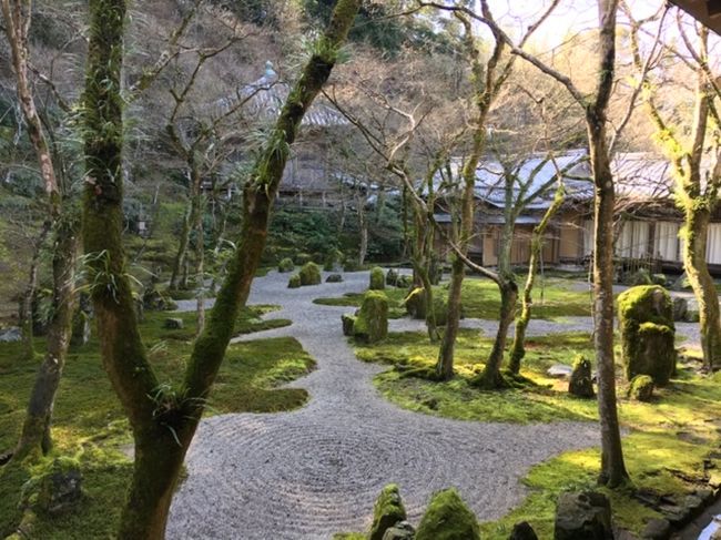 今日は、雨予報でしたが、好天になりました<br /><br />鹿児島から太宰府に向かいました<br /><br />二枚割引切符で、博多迄の新幹線自由席で<br />久留米まで行き、そこから各駅で二日市に<br />行き、そこから歩いて西鉄二日市、太宰府に<br />行きました<br /><br />空いているとの前評価でしたが、外国人観光客が<br />沢山居ました、でも少ない様です<br /><br />何時ものごとく雑踏を避けて、お参りし、その後、<br />天開稲荷神社さんをお参り、山道を通って九州博物館に行きました<br /><br />入口から全貌は見えませんでしたので、行ってビックリ、素晴らしい博物館でした、無料のスペースだけでしたが、大満足です<br /><br />そこから光明寺さんをお参りしました<br />誰も見学者はいませんでしたが、素晴らしい<br />枯山水を見る事ができて、今回ついてます<br /><br />その後、休憩でコーヒー屋さんにより<br />西鉄で天神に向かいました<br /><br />今日の夕食は、妻の希望でひょうたん寿司です<br /><br />開店まで大分時間があったので、天神でも<br />お宮参りしました<br /><br />先ずは、駅の隣りの警固神社さんにお参りし<br />隣りのお稲荷さんをお参りしました<br /><br />そして、水鏡天満宮もお参りしました<br /><br />天神ブラして時間を潰してお寿司さんに<br />向かいました<br /><br />なんと行列してました、早くからいたので<br />並べば良かったと後悔しましたが、開店と<br />同時にお店に入れました<br /><br />店長お勧め寿司を頂きました<br /><br />人気店だけの事はあります<br />とても美味しいお寿司でした<br />それに、安いです、築地なら倍は<br />します、堪能です<br /><br />天神から今日の宿、ヒルトンシーホークスに<br />庶民的に路線バスで向かいました<br /><br />約20分で到着しました<br /><br />凄いホテルです、アプリで事前チェックイン<br />しましたので、直ぐにルームキーと<br />ミネラルウォーターとバレンタインチョコを<br />頂いて部屋に向かいました<br /><br />部屋は、二段階アップグレードしてもらえ<br />26階です<br /><br />岩風呂無料券と朝食バイキングもついています<br />ヒルトンクレジットカードの年会費もと<br />取れました