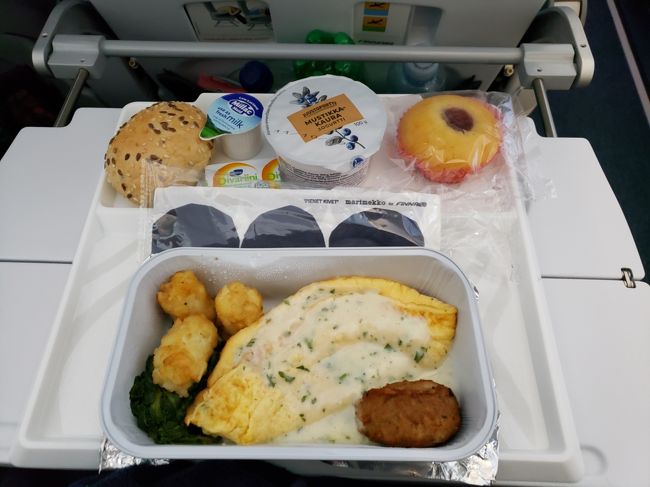 エストニア旅行記パート40!という名のフィンランド・ヘルシンキバンター空港からフィンランド航空を利用しての成田空港への帰国編です。<br />タリン・ウレミステ国際空港からNoRRA航空のATRでヘルシンキに向かう機中から旅行記はスタートします。<br />当初パート39、40の内容は3パートに分けて作成していましたが、切りよく40パートで終わらせようと思ったことと、内容が薄くなってしまってだらだら引き延ばしている感じが出てしまったので3パート分を2パートにまとめました。そのため(特に39が)写真が多かったり、切れ目が少し妙なところでになっていますがご了承ください。<br /><br />このパートでエストニア旅行記は終了になります。2019年9月に旅行をし2019年10月31日にパート1を投稿してから約7ヶ月で完走という長い旅行記になりました。ここまで旅行記を読んでくださった皆様、いいねを付けてくださった皆様、本当にありがとうございました。割と飽きやすい性格なのとどんどん旅行に行きたい性格が災いし最後まで投稿できるかなと心配しながらスタートしましたが、完走できたのは読んでくださる方がいたからだと思っています。重ね重ねありがとうございます。<br />本来でしたら今年夏にはウラジオストク旅行を計画していたり、春に関西、秋には九州の旅行を計画していましたが、関西とウラジオストクは中止、秋もいろいろ厳しいのかなと中止を覚悟している状況です。次にいつ旅行に出られるかわからない状況が続いていて、私の仕事内容が高齢者と関わることが多い仕事の為、旅行解禁と言われてもすぐに旅行をすることは出来ないと思っています。<br />新型コロナウイルスの世界的感染が一国も早く終息し再び安心して旅行を出来る日が来ることを願っております。