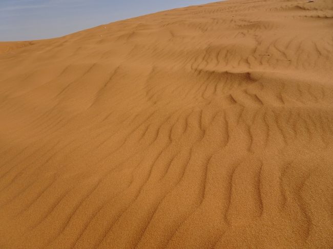 この日は、リヤド郊外にある<br /><br />世界遺産ディルイーヤのツライフ地区を見学しようと思っていた。<br /><br />朝、目が覚めるとホテルで食事をとり、<br /><br />そのままÜBERでタクシーを手配し目的地へ。<br /><br />30分くらいで到着。<br /><br />世界遺産というと観光客がたくさんいるはずなのに人気がない。<br /><br />事前にネットで調べた情報によると、<br /><br />この時間は空いているはずなのに。。。<br /><br />運転手が警備員に状況を確認してくれた。<br /><br />午後5時以降にオープンするのできて欲しいとの事。<br /><br />まあ、外から見学して、それで良しとすることにした。<br /><br />タクシー運転手にお礼を告げ、降ろしてもらい、<br /><br />世界遺産の周りを1時間程度お散歩。<br /><br />しかし、中に入って何も見ていないので、<br /><br />ここでウロウロするにも限りがある。<br /><br />さあ、どうしよ～～。<br /><br />買い物をして一日過ごそうか？？<br /><br />とも思ったけど、それもな～～<br /><br />と言うことで、スマホで検索。<br /><br />「Red Sand Dunes」と言うのが目に止まった。<br /><br />だけど、遠い。<br /><br />ÜBERでお値段を確認したところ、<br /><br />片道３０００円。<br /><br />それだけお金をかけて行く価値があるのかどうか。。。<br /><br />そうも思ったけど、行く場所もないので、<br /><br />そちらへ行くことにした。