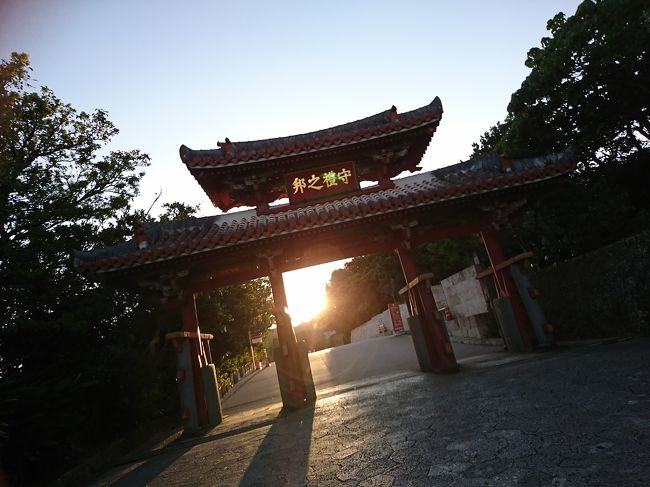 今年初の沖縄旅行は本島から。<br />ANA特典航空券をつかいました。<br /> <br />1日目 夜那覇入り <br /> 牧志駅すぐのリーズナブルな南西観光ホテルに宿泊。夕食いきなりステーキ<br />2日目 朝 首里城公園“うけじょー”儀式をみて<br />首里城散策。10時~那覇まちまーい参加し国際通りの脇道裏道をガイドさんと歩きました<br />午後 レンタカー借りて、島からやってくる家族と合流し、<br />波之上宮 万座ビーチホテル<br />夕食ジミーレストラン大山店でブッフェ<br />3日目 沖縄海洋博公園 オキちゃん劇場、マナティ館 海亀館 郷土村見学 八重岳の桜見学<br />昼食 きしもと食堂本店<br />夕食 ホテル内オーキッドにて琉球ブッフェディナーショー<br />4日目 普天満宮 ライカムAEON スッパイマンの上間菓子店見学 瀬長島