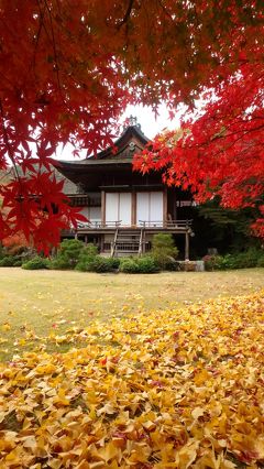 京都紅葉八景（7）天龍寺、大河内山荘庭園、渡月橋