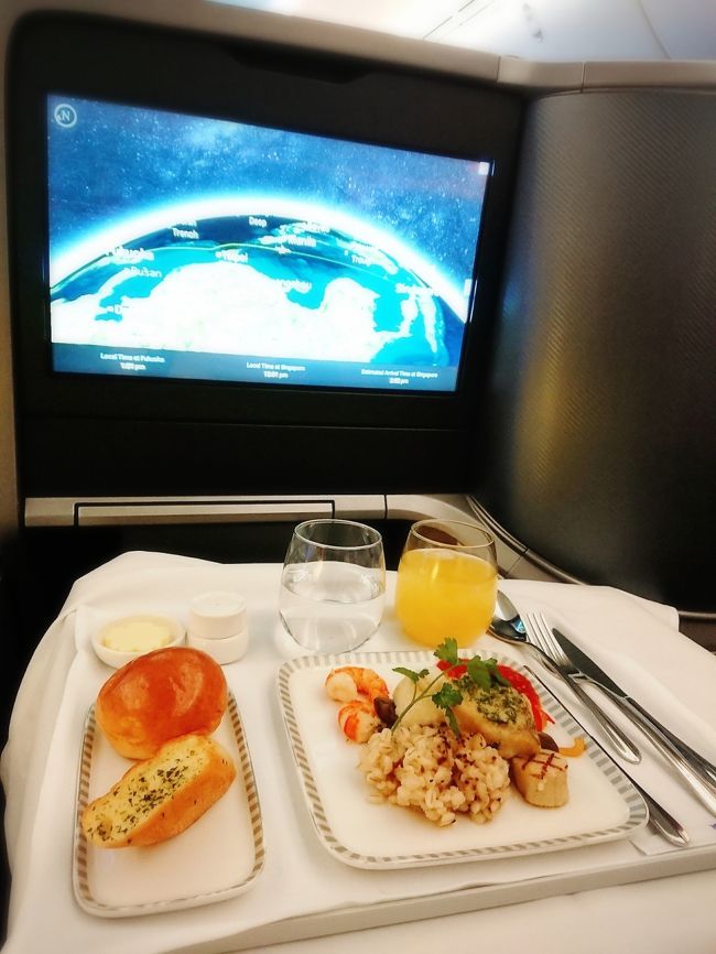 2019年の昨年、もうこれ以上ないというくらい<br />お得な料金でビジネスクラスを利用してシンガポール旅行をした私。<br /><br />あの時行っててよかったな~またキャンペーン価格で<br />利用できたらまたビジネスクラスで行きたいな~もうないだろうけど~<br /><br />…と思っていたら、その「また」があった!<br />B787-10福岡就航1周年記念キャンペーンということ<br />で、最安値で福岡~シンガポール間ビジネスクラスが<br />往復98970円!(空港税、サーチャージ込!)<br /><br />…マジですかい?!<br />これは、これは…行くっきゃないでしょ~!!!<br /><br />ということで。<br />リゾート好きの姉を誘って、シンガポールを楽しみ<br />ます♪その1か月後世界がコロナウイルスで封鎖・<br />自粛になるなんて、まだ思いもしなかったTT滑り<br />込み旅行記がスタートです!<br /><br />しばらくは旅行…という雰囲気ではありませんが、<br />無事終息した暁にはシンガポールに行きたい!<br />と思っていだたければ幸いです。