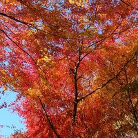 温泉宿2日目は黒川温泉までぶらり日帰り浴　紅葉と温泉でくつろぐ