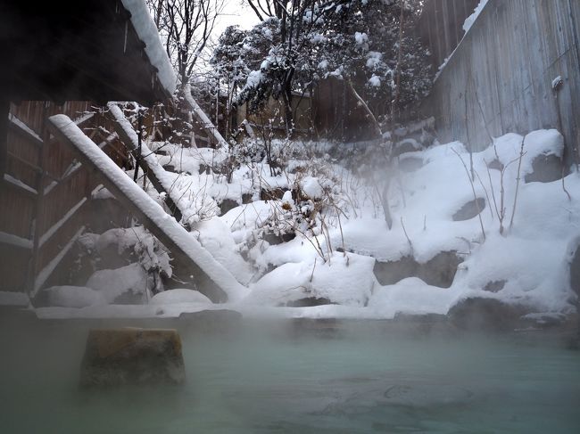 山形には行ったことがなくて、行くなら山形の蔵王へ樹氷を見に行こうと思ってた。<br />数年前から時期を見計らってて・・・天気予報をチェックしたら、ちょうど休みの日が晴れそうだし、高速バスや宿の空きもありそう。<br />ということで、数日前に山形蔵王行きを決定！！<br /><br />高速バスは時間を有意義に使えるし、何といっても安い。<br />蔵王温泉に乗り入れる高速バスもあって、行きはバスタ新宿から蔵王温泉まで、帰りは山形駅からバスタ新宿までの高速バスを手配した。<br />往復とも３列シートの座席があってよかった。<br /><br />（往）バスタ新宿 → 蔵王温泉　３列シート　5000円<br />（復）山形駅東口 → バスタ新宿　３列シート　4000円<br /><br />山形駅か蔵王温泉かどっちに泊るか迷ったけど・・・ライトアップを見るなら蔵王温泉だね。蔵王温泉で一人で予約できる宿があまりなく、近畿日本ツーリストだけZAOセンタープラザ一人で予約できた。<br />ZAOセンタープラザは中心地にあるし、コンビニも近くにあるし、何かと便利だった。<br /><br />ZAOセンタープラザ　10450円／泊（朝食付き）<br /><br />蔵王温泉で温泉三昧！！<br />蔵王温泉には３つの共同浴場があって、平日だったせいか、どこも独り占め♪<br /><br />蔵王ロープウェイで山頂に行ったら、そのままライトアップまで待つことになるので、寒さ対策はしっかりと。<br /><br />［１日目］<br />バスタ新宿 集合<br />［２日目］<br />（高速バス）バスタ新宿 00:05 → 蔵王温泉 07:20<br />★ZAOセンタープラザ<br />★山口餅屋<br />★上湯共同浴場<br />★下湯共同浴場<br />★川原湯共同浴場<br />（蔵王ロープウェイ）蔵王山麓駅855m → 樹氷高原駅1331m → 地蔵山頂駅1661m<br />★樹氷まつり<br />（蔵王ロープウェイ）地蔵山頂駅1661m → 樹氷高原駅1331m → 蔵王山麓駅855m<br />☆ろばた（ジンギスカン）<br />☆ZAOセンタープラザ（泊）<br />［３日目］<br />☆山口餅屋<br />（バス）蔵王温泉バスターミナル 11:20 → 山形駅東口 12:05<br />（電車）山形 12:56 → 山寺 13:15<br />☆宝珠山立石寺<br />☆COZAB GELATO<br />（電車）山寺 16:01 → 山形 16:25<br />☆平田牧場 ホテルメトロポリタン山形店<br />☆STARBUCKS COFFEE<br />（高速バス）山形駅東口 23:15 → <br />［４日目］<br />→ バスタ新宿 06:17