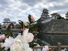 今治は魚がうまい　！　　松山は野菜がうまい