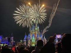 2020.02 夫婦でWDW旅行①