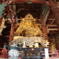 名古屋まで出張しその足で週末は奈良で過ごしました。2日目は奈良市内へ行きました！