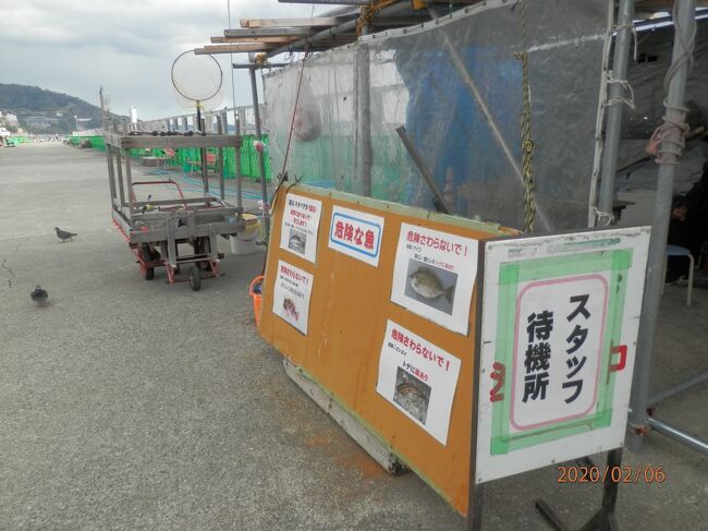6木曜2ひる熱海港で釣り<br />写真は200206-1024.私たちが着いたころ数人でしたが。昼に近づいたらどんどん増えてきました。現場にいるスタッフには、受付から「客が来た」と連絡が入るようです。「大人何本」と声を出してスタッフ同士で確認して、人数分の道具の準備をしています。<br />釣れるのは触ると痛い思いをする小さなフグの仲間で「キタマクラ」と「アイゴ」。2時間近くたち手のひらよりは大きい「メバル」。少し前に大きなメジナを釣った隣の若者は持ち帰り用発泡スチロールの箱を買ってきました。だから私が釣ったメバルは差し上げました。せめて写真を撮ればよかった。撮り忘れて勿体ないことしました。黒の中に金色に光る体でした。制限時間3時間には早いけど終わりにしました。<br />海上保安庁の船が停泊中。五味八珍ラスカ熱海店でビールと餃子でランチ。<br />宿泊はサンダンスリゾート熱海2泊205室和室10畳。レストラン「大楠」朝食は8時から夕食は18時から。大浴場朝は6時から10時まで入浴可。午後は15時から24時まで。