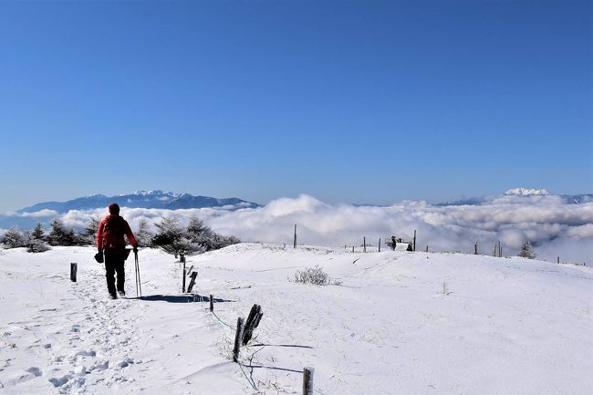 長野県の鉢伏山に登ってきました。<br /><br />山頂の広大な雪原風景、そこに広がる霧氷、雲海の果てにそびえる北アルプスの展望、どれもが素晴らしい眺めでした。<br /><br />天気が良ければ富士山まで見渡せる絶好の展望台、雪山登山としてはそこまで難しくなく登ることができます。<br /><br />▼ブログ<br />https://bluesky.rash.jp/blog/hiking/hachibuseyama.html
