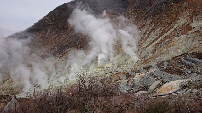 大涌谷に行った。<br />