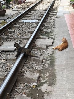 オタじゃなくとも鉄道にはまる夏ハノイ①