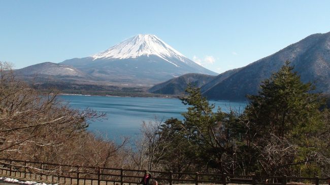 冬の富士山と富士五湖をめぐりたく計画しました。特に忍野八海村の冬景色を見たく計画しましたが、残念ながら雪がほとんどなくがっかりでした。それでも富士五湖をめぐる冬の景色を楽しみにして山中湖からスタートしました。午後からの天気が思わしくなく小雪がチラつく天気となり期待していたダイヤモンド富士の撮影はできませんでした。次の忍野八海村からの冨士見もあきらめていましたら、奇跡的にすそ野から晴れてくれて景色は撮影することができた。この日は新型ウイルスの影響でいつもならごった返す観光地なのですが、ほとんど外国人の姿は見当たらずゆっくりと見学することができた。二日目は河口湖からの出発で、この日は快晴で富士がくっきりと見え絶好の日だが風が強く逆さ富士を期待したのだがどこの湖も見ることができなかった。大石公園、西湖、精進湖、本栖湖（ここは千円札のデザインに使われた場所）とぐるりと富士をめぐるコースで最後に富士山本宮浅間神社にお参りして帰宅についた。