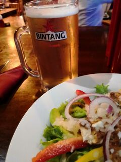 2019 年末 サヌール１ アンピビア＆アリーナ